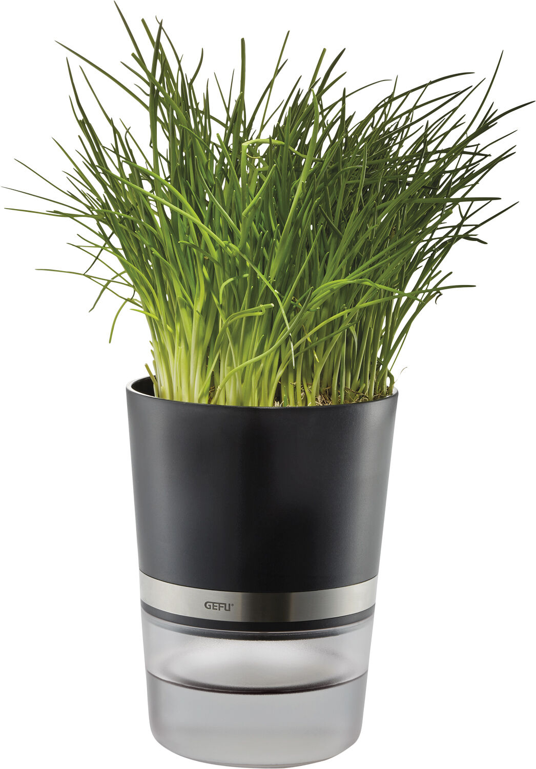 Krydderurtepotte, BOTANICO