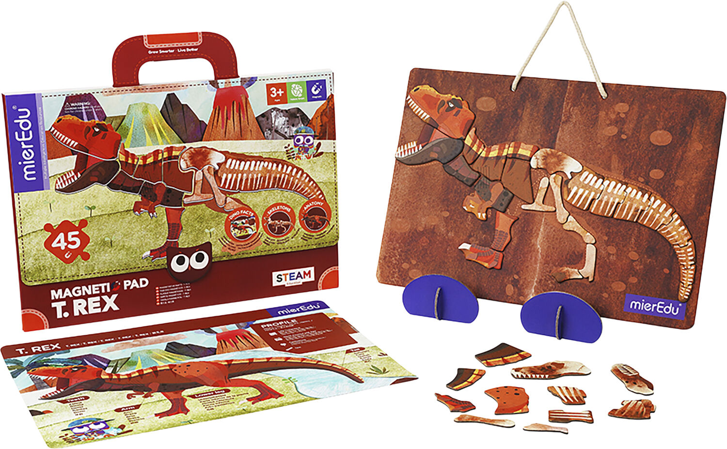 mierEdu - Magnetisk legetavle - T Rex