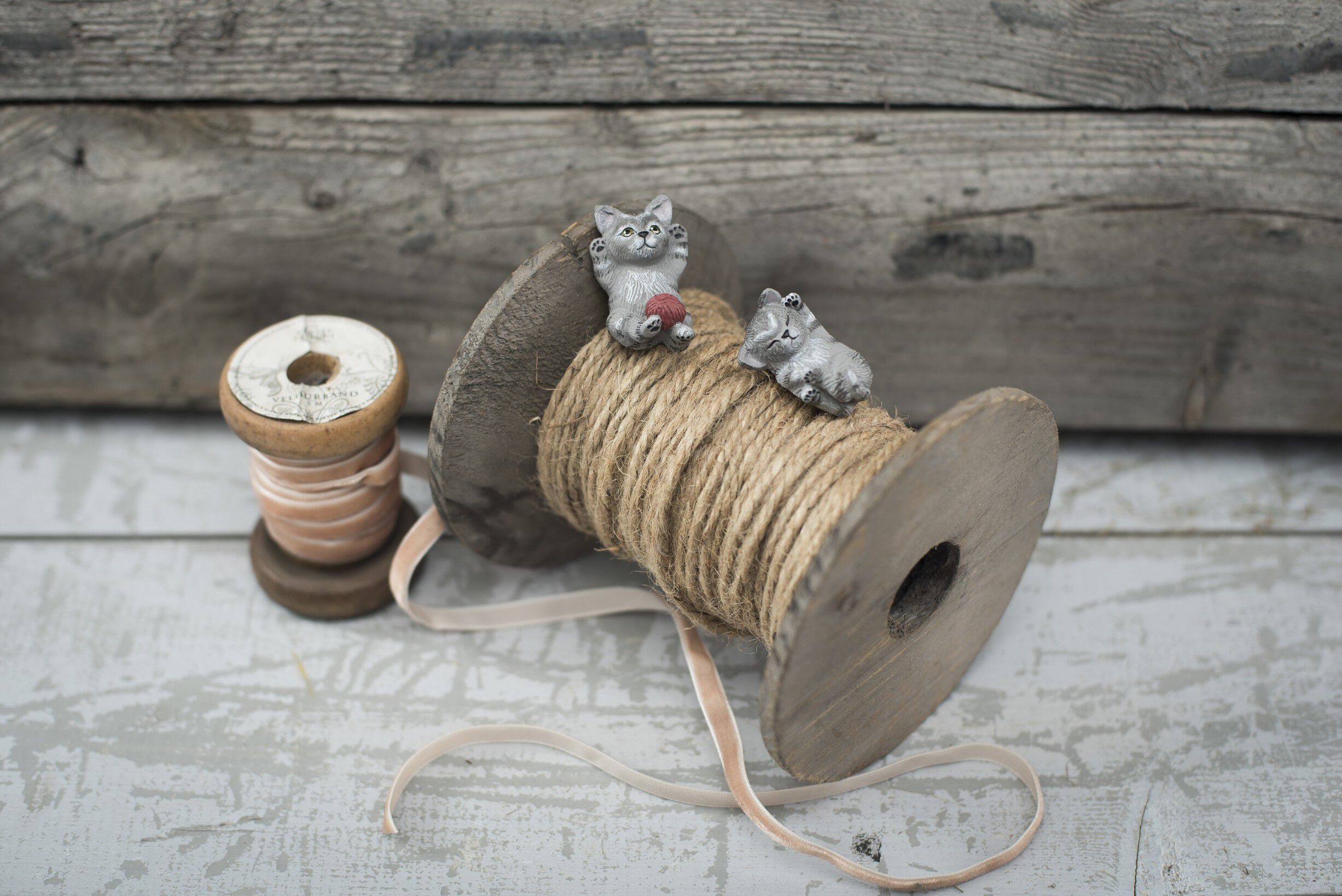 Kattekillinger Miv & Nulle