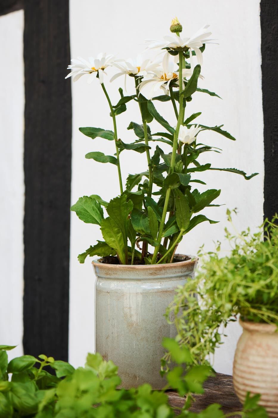 Skjuler gr&aring; distressed