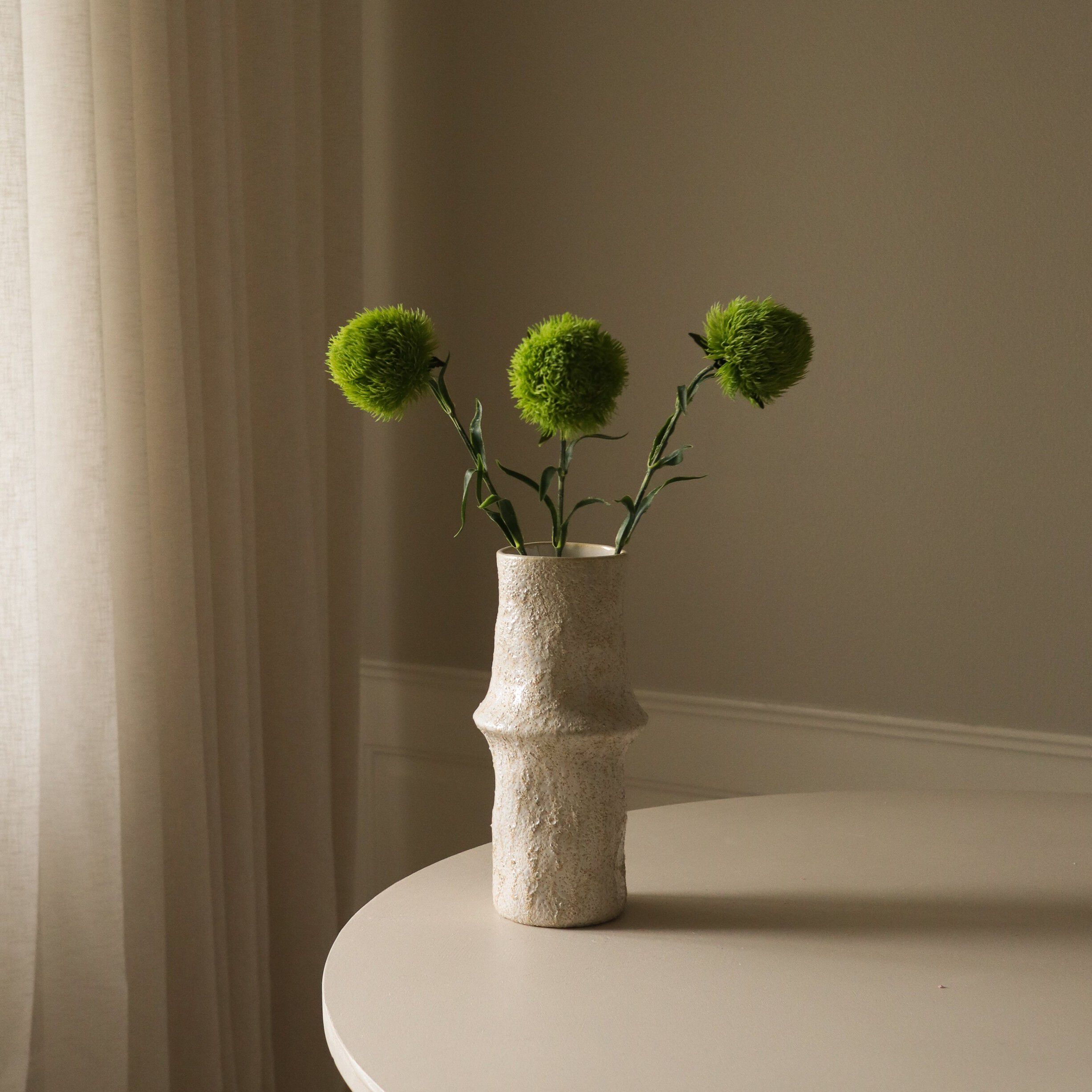 Dianthus Barbatus "Green Ball"