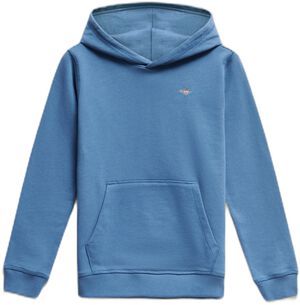 Shield Hoodie