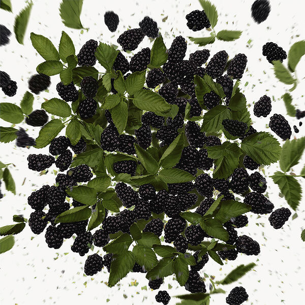 Gucci Flora Gorgeous Magnolia Eau de Parfum