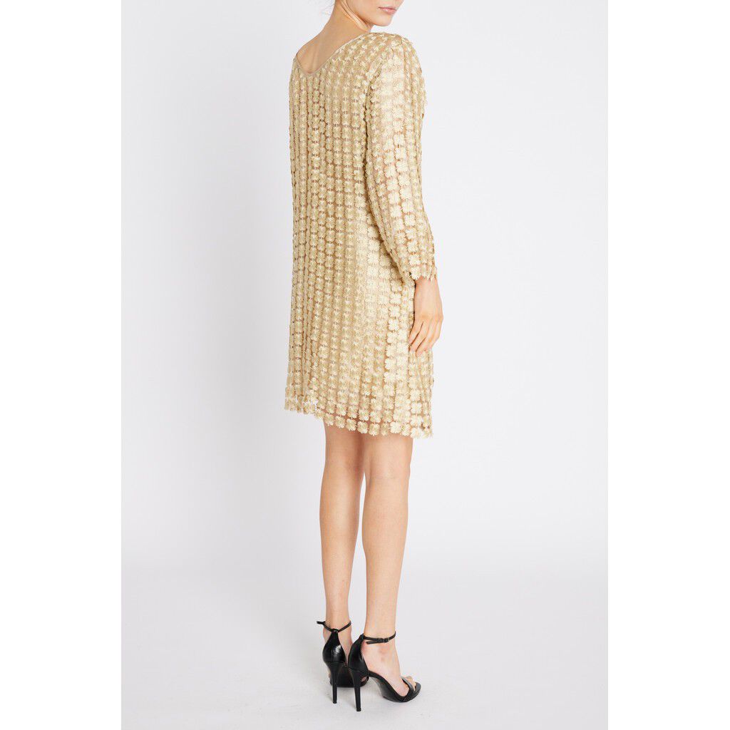 Hedyscepebbyva Dress