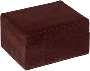 Day Velvet Jewelry Case Small