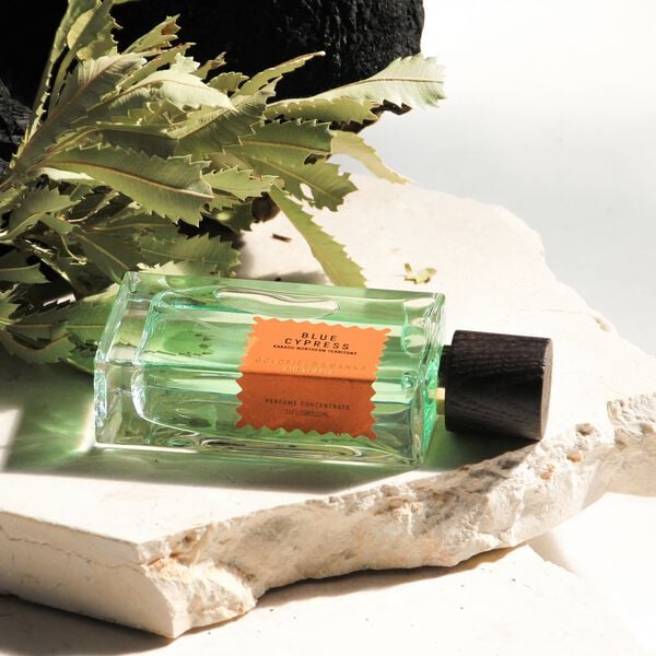 BLUE CYPRESS Perfume 100ml
