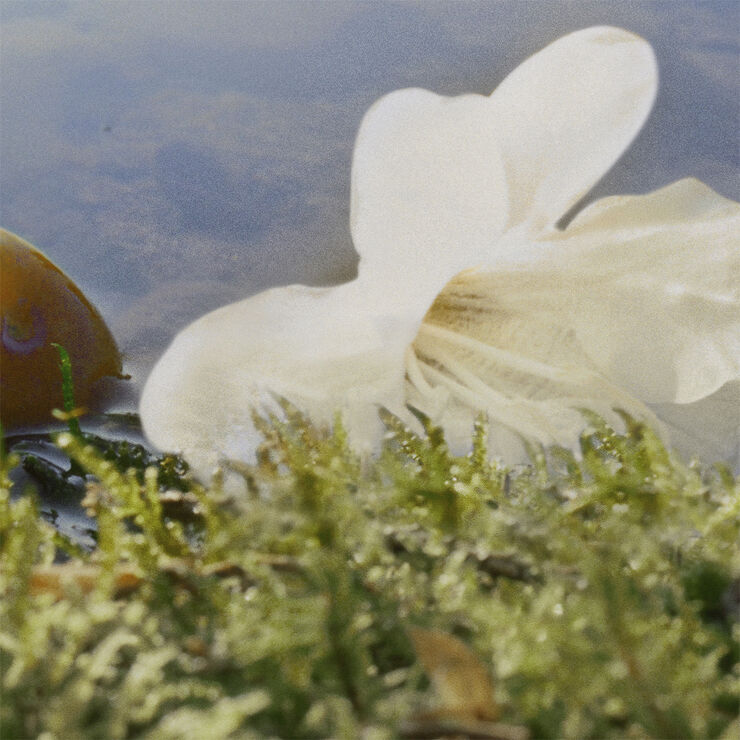 Nomade Eau De Parfume