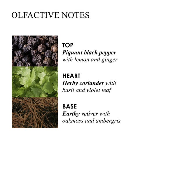 Re-charge Black Pepper Body Lotion