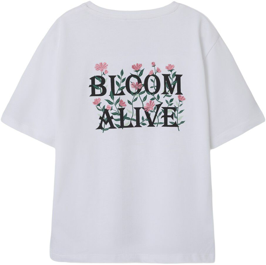 NKFLONNIE NREG SS TOP BOX