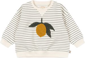 AMIO SWEAT SHIRT OCS