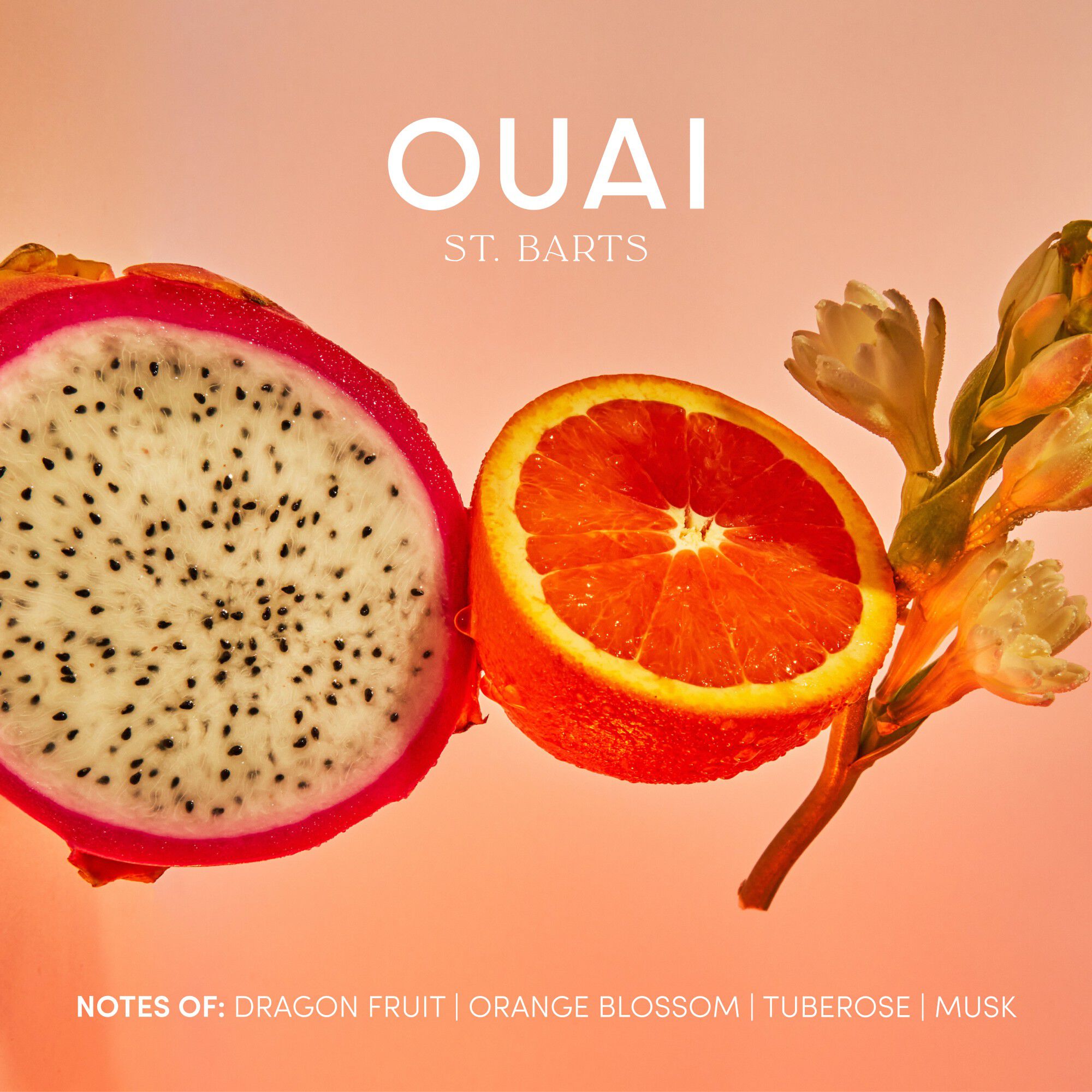 WANNA GET A-OUAI TRAVEL KIT