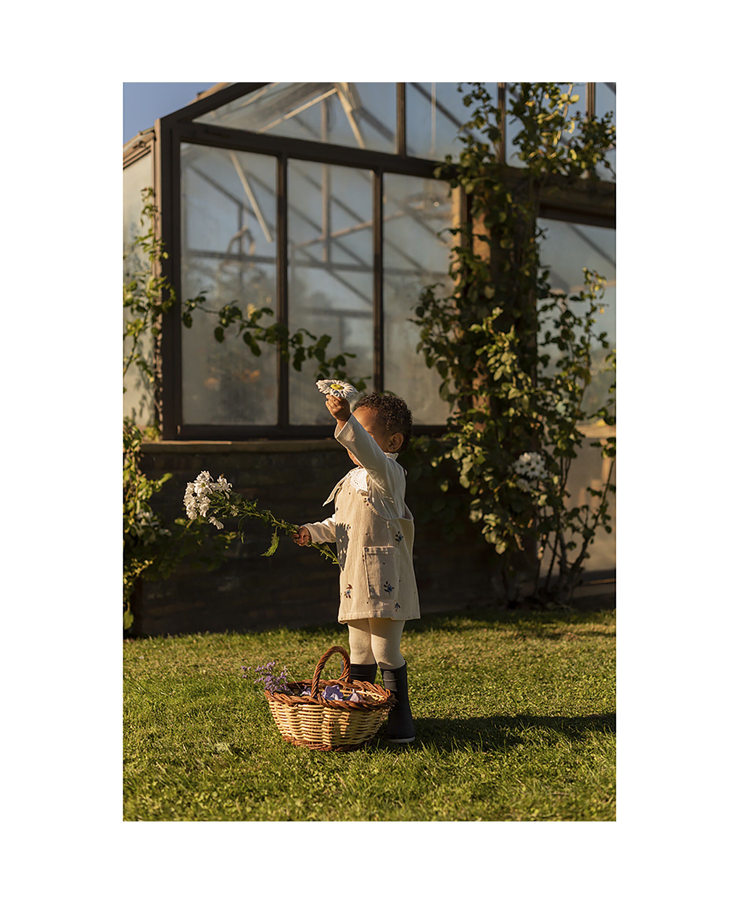 Oli & Carol - Bidering - Margarita the Daisy