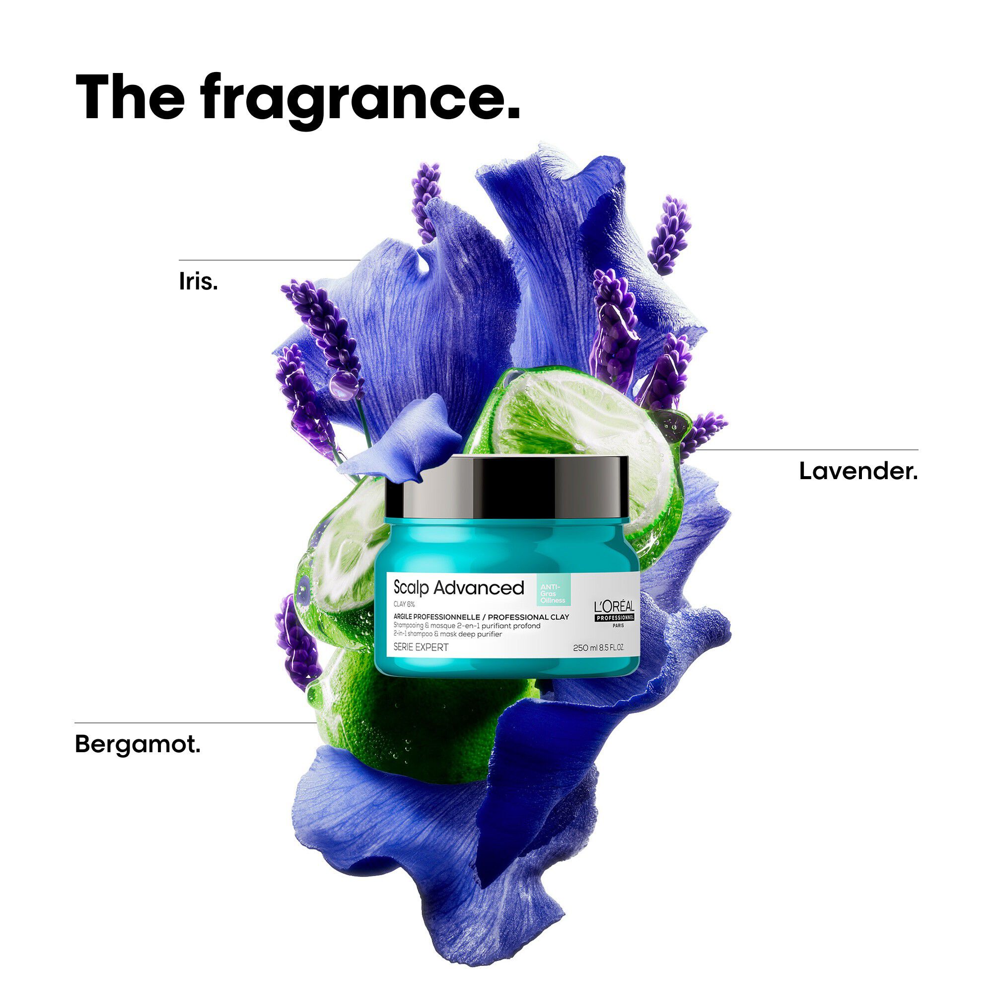 L'Or&eacute;al Professionnel Scalp Advanced Anti-Oiliness 2-in-1 Deep Purifie