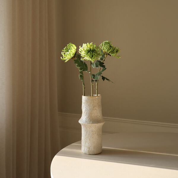 Semi-Cactus Dahlia Flower