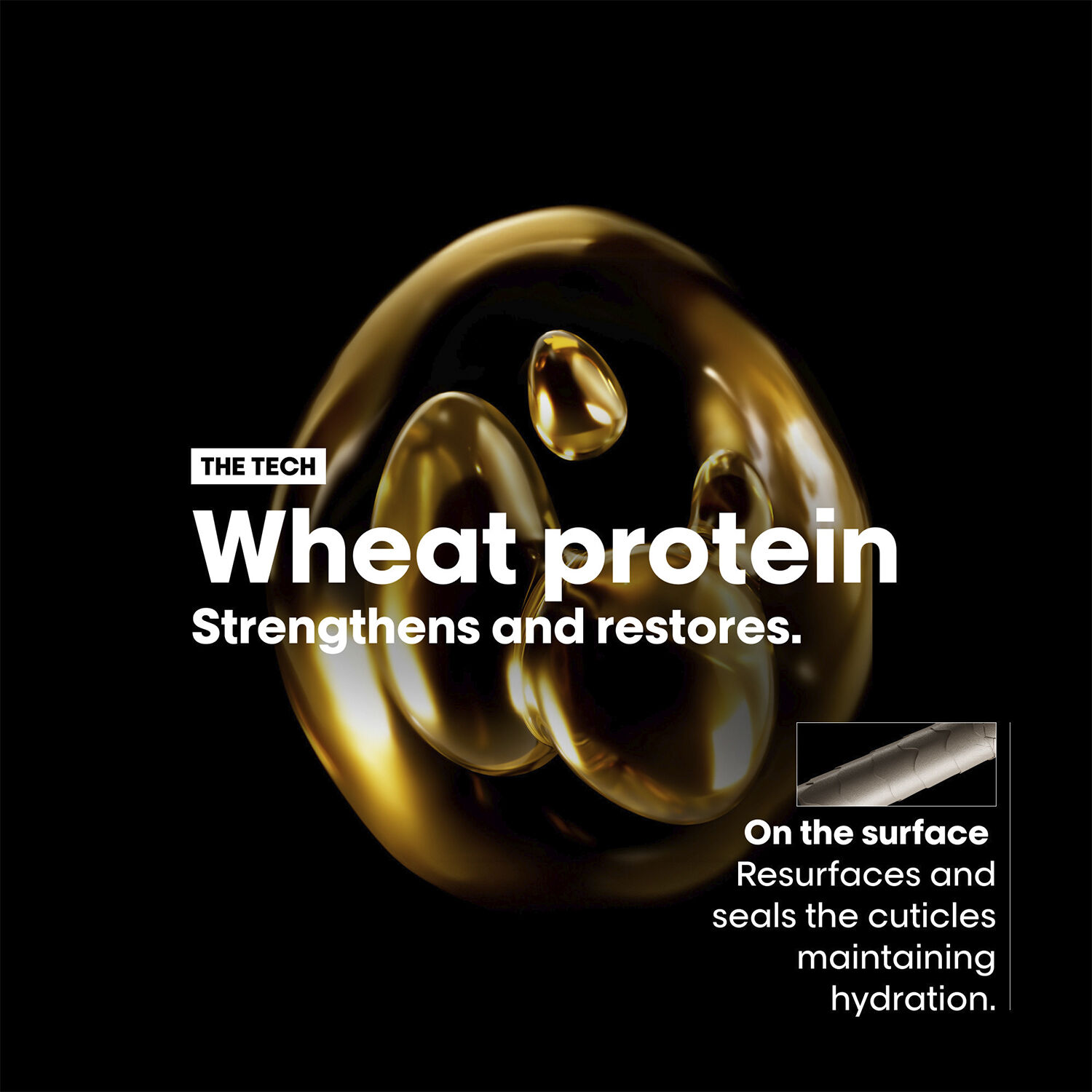 Absolute Repair 10-in-1 Professionnel Oil