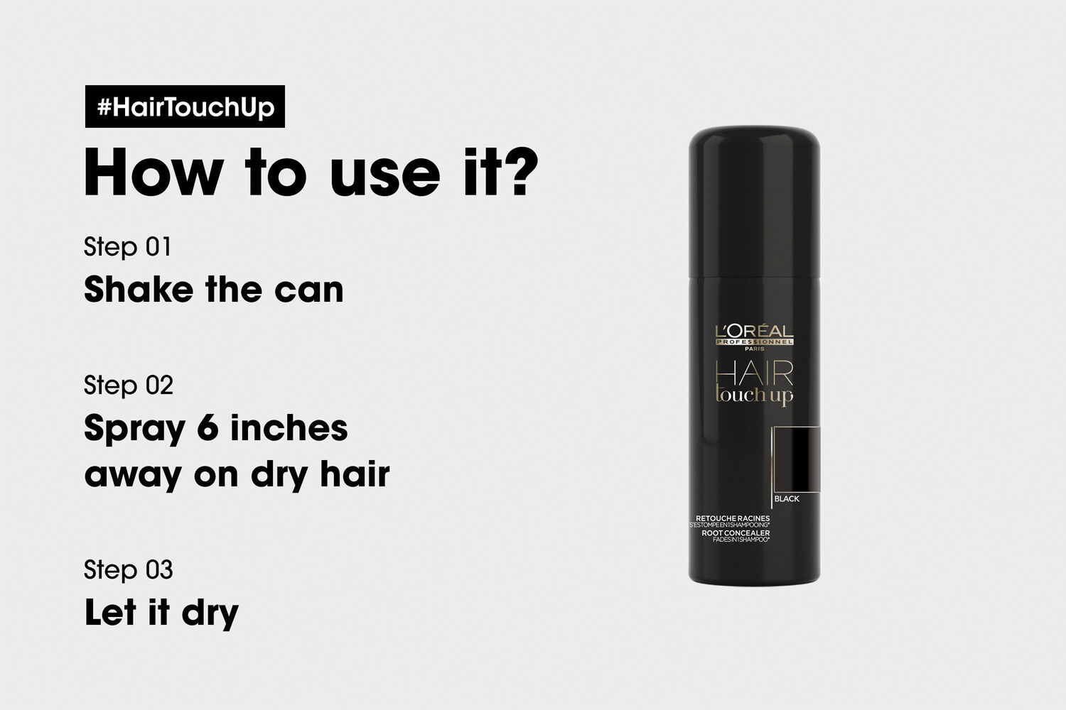L'Or&eacute;al Professionnel Hair Touch Up Black