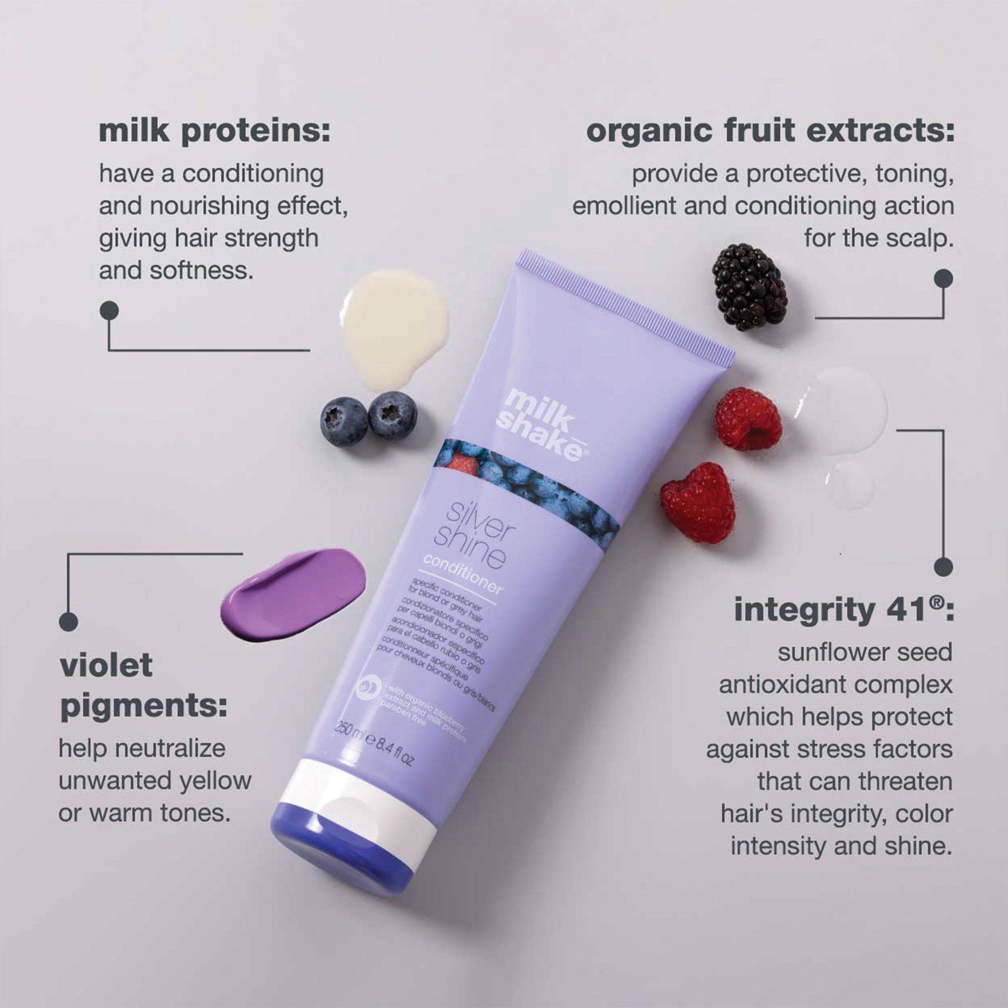 Silver Shine Conditioner
