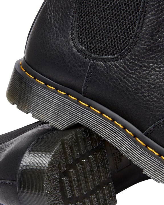 2976 Black Ambassador