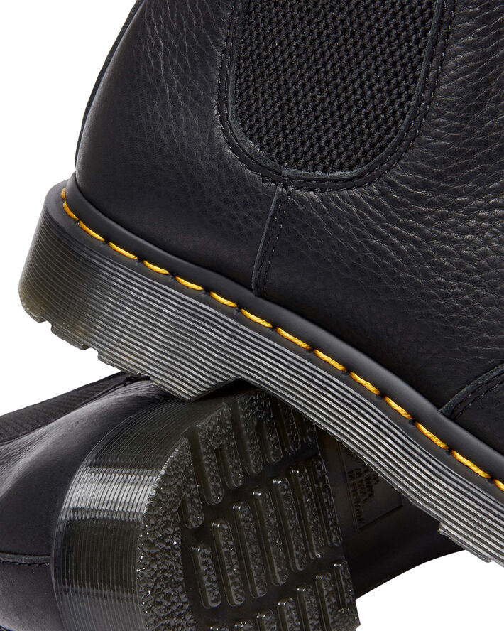 2976 Black Ambassador