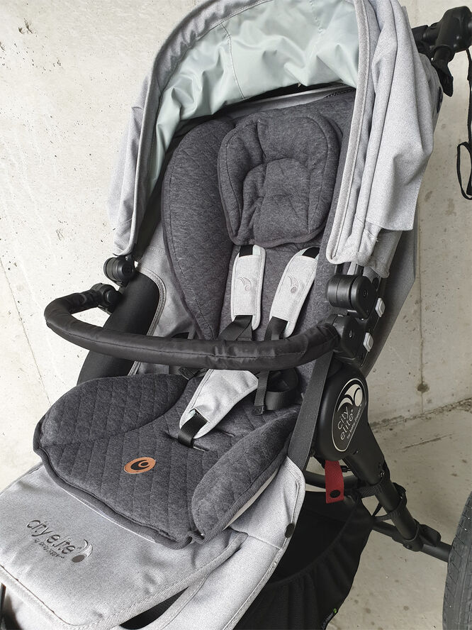 Easygrow Minimizer Support - Black Anth.