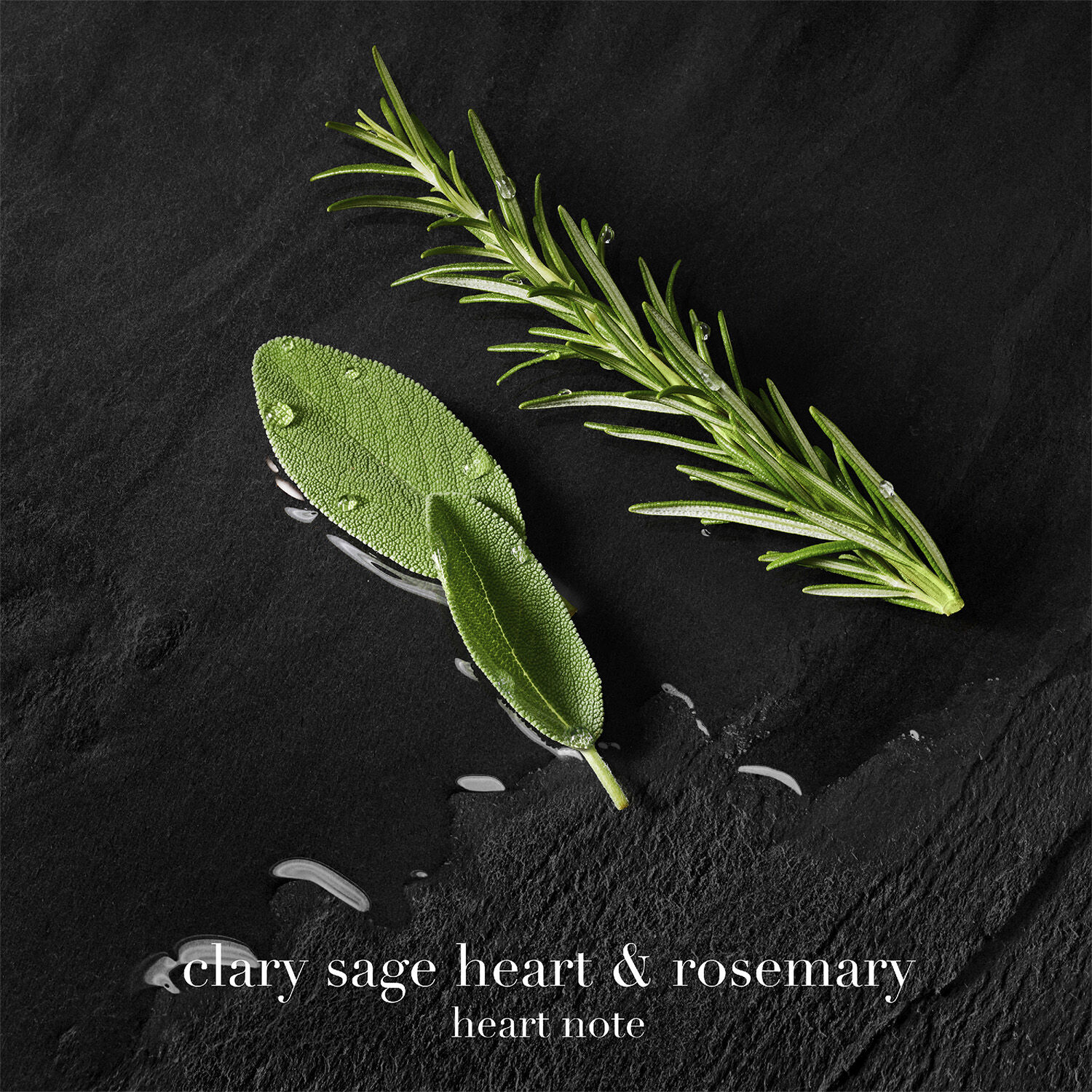 Acqua di Gi&ograve; Parfum Refill