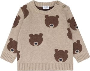 HCPilou Bear