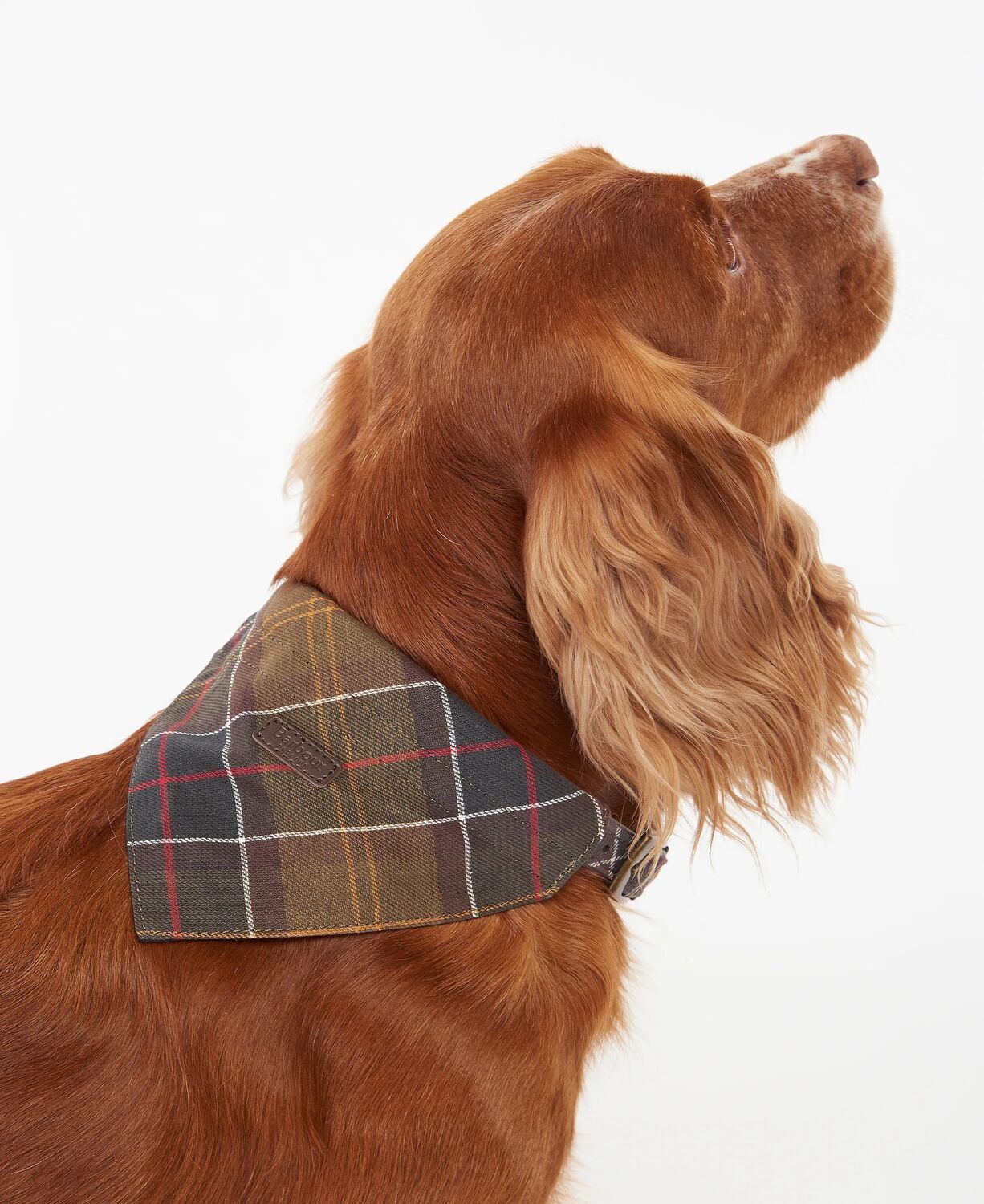 Barbour Tartan Bandana