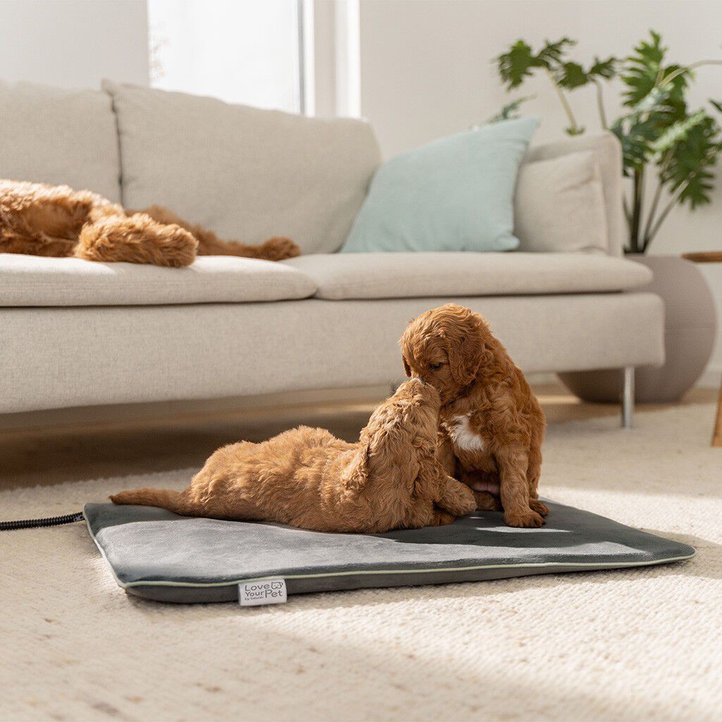 PetCare PP 220 Sammy Varmepute for kj&aelig;ledyr 65x50 cm