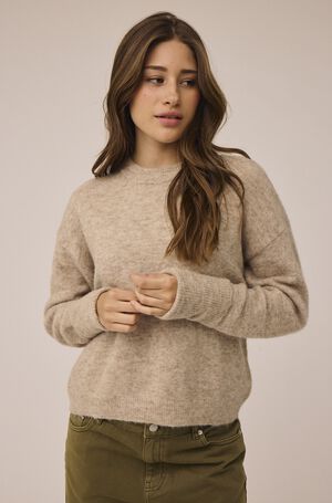 Cindi 16 Sweater - Alpakamix RWS