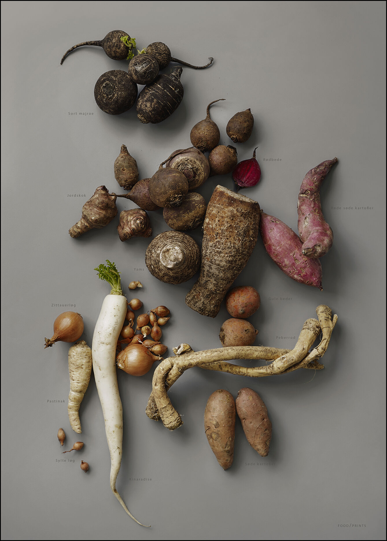 MAD/PLAKAT - Gr&aring; r&oslash;dder- pl