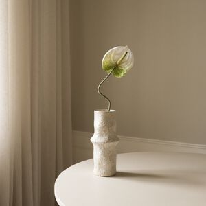 Anthurium Flower