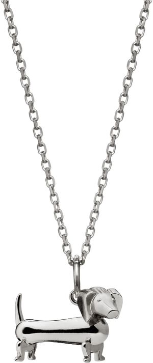 Gravhunden i s&oslash;lv med k&aelig;de med k&aelig;de