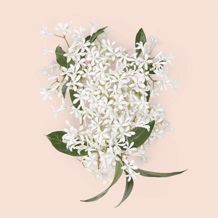 Gucci Bloom Intense Eau de Parfum