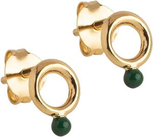 Studs, Dotta