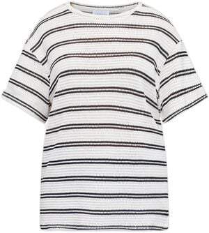 VEDA-SS1