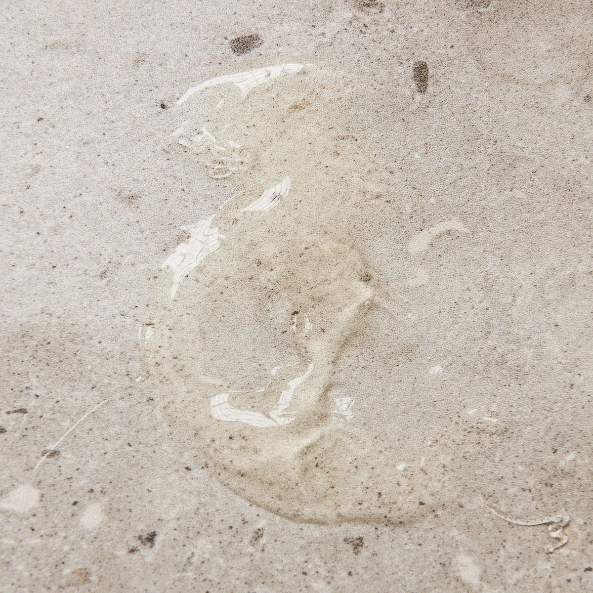 H&aring;nds&aring;pe, Meadow bliss