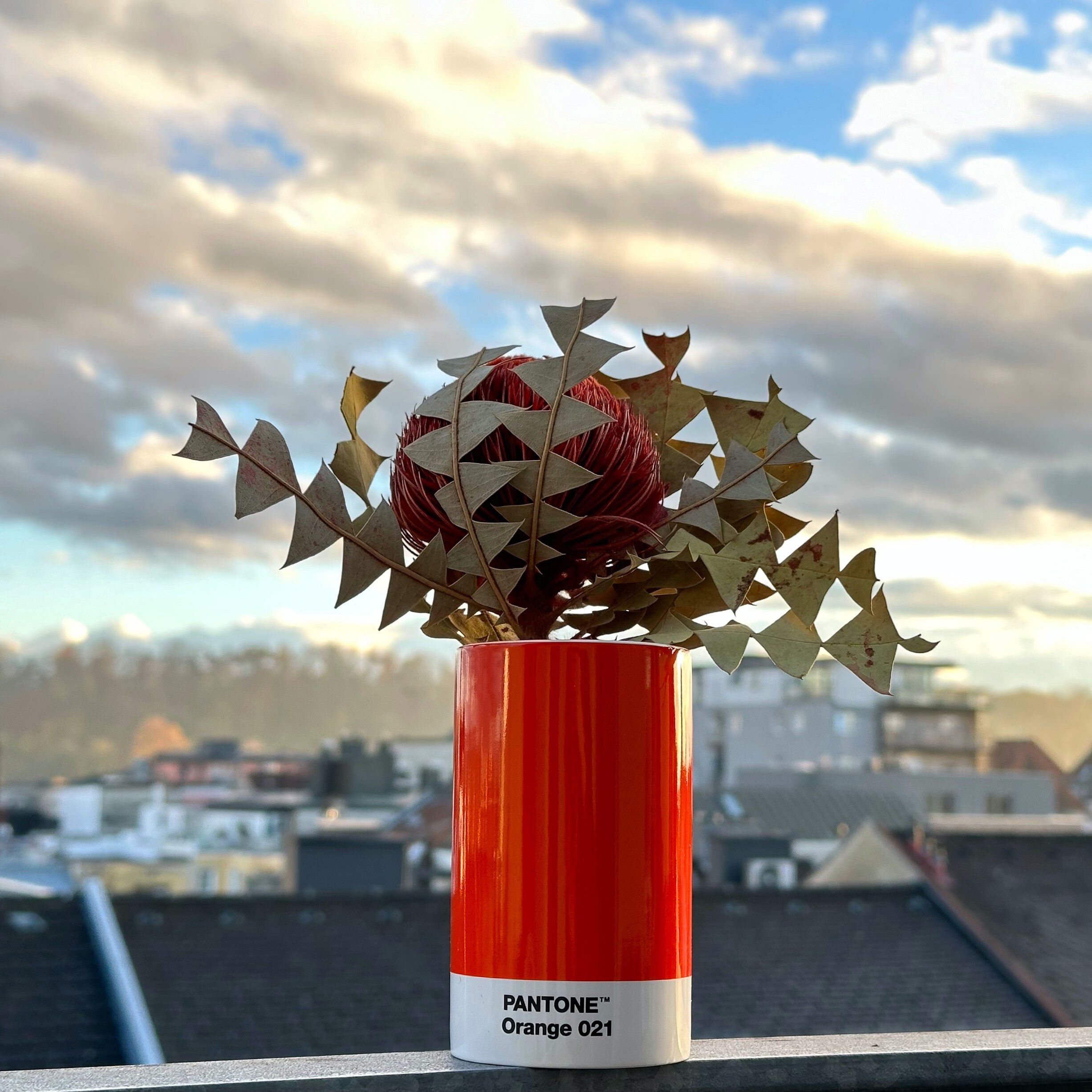 Pantone PENCIL CUP Red 2035