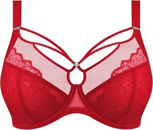 BRIANNA UW PLUNGE BRA