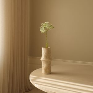 Queen Anne's Lace Flower