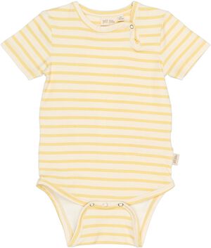 PPSun S_S Body