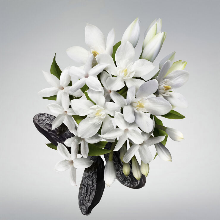 CAROLINA HERRERA Good Girl Body cream 200 ML