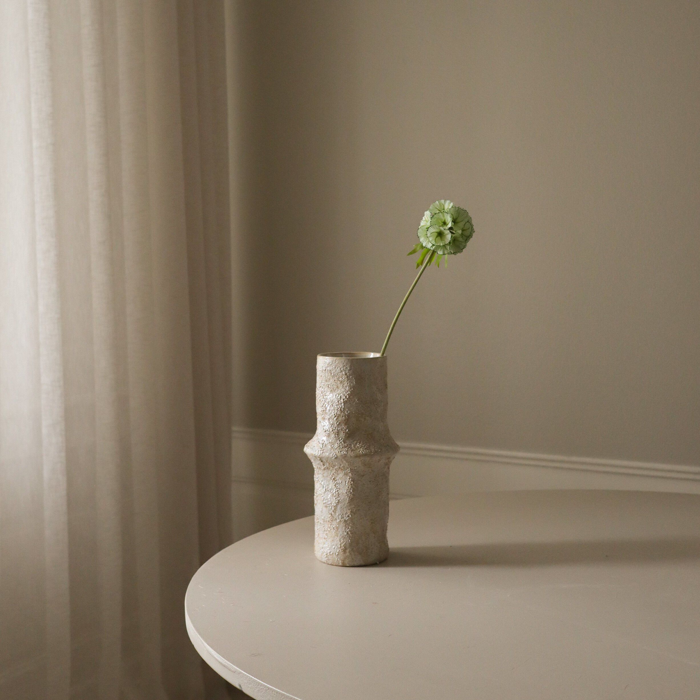 Scabiosa Seed Pod Flower