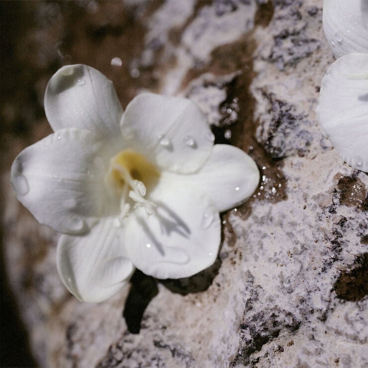 Nomade Eau De Parfume