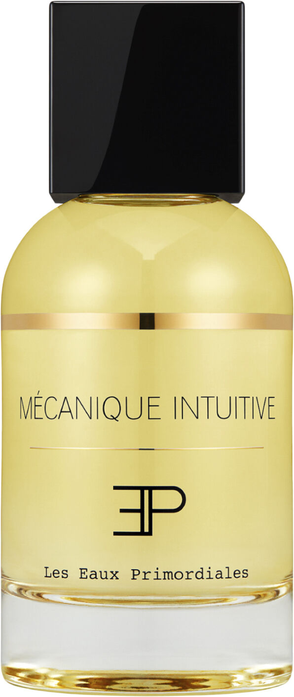 LES EAUX PRIMORDIALES M&eacute;canique Intuitive 100 ml