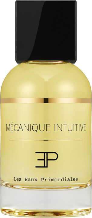 LES EAUX PRIMORDIALES Mécanique Intuitive 100 ml