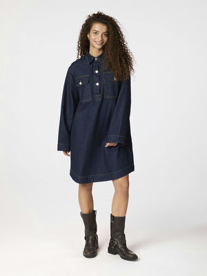 Paras Denim Dress