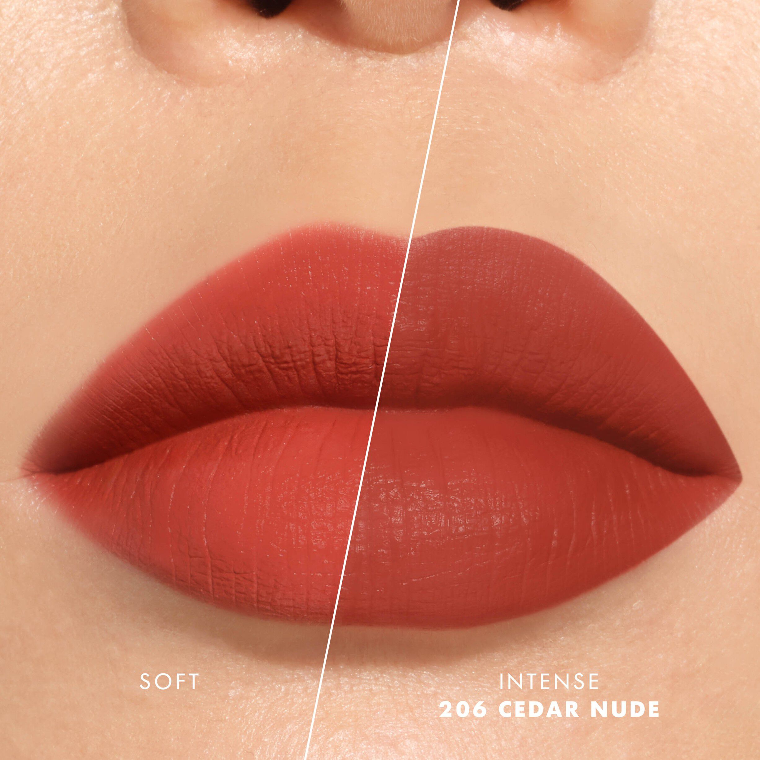 Armani Lip Maestro