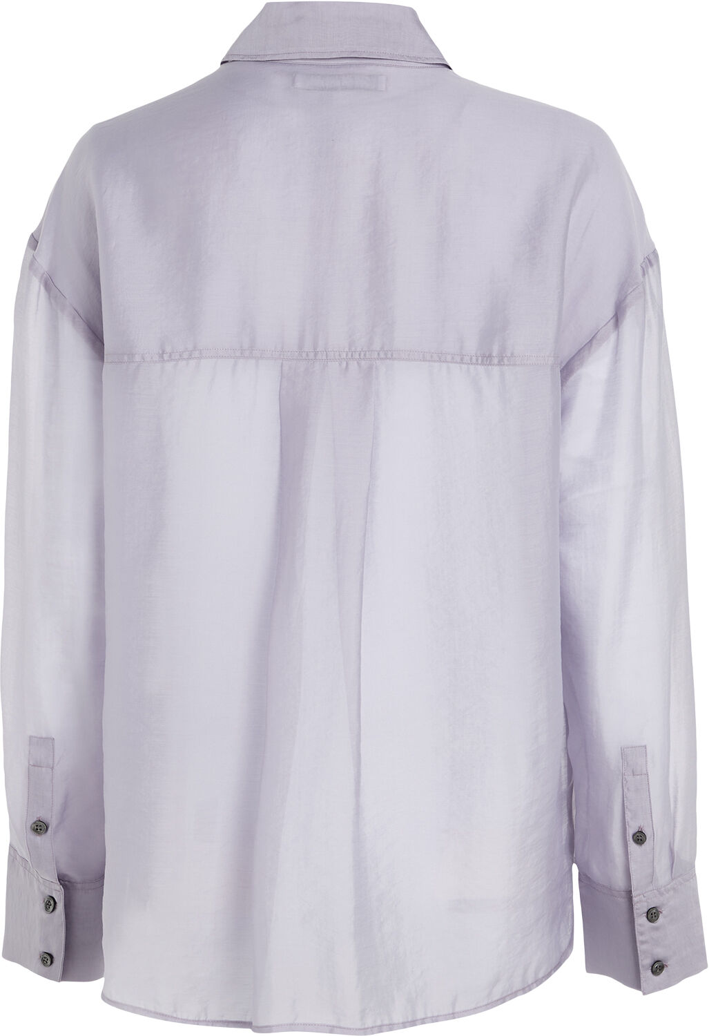 Sheer long sleeve shirt