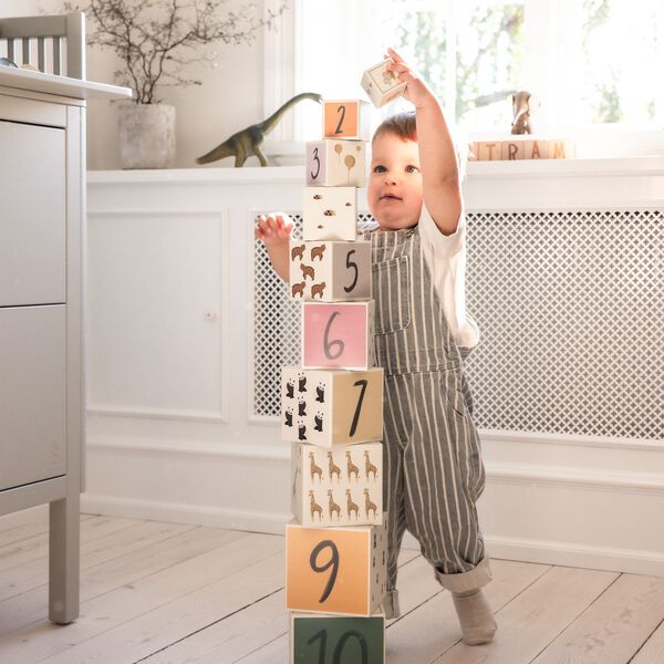 Stabelkasser, 10 stk. , World of Sebra