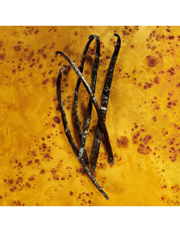 Guilty Elixir de Parfum